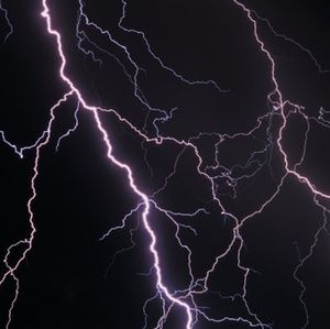 Meet your Posher, Nina